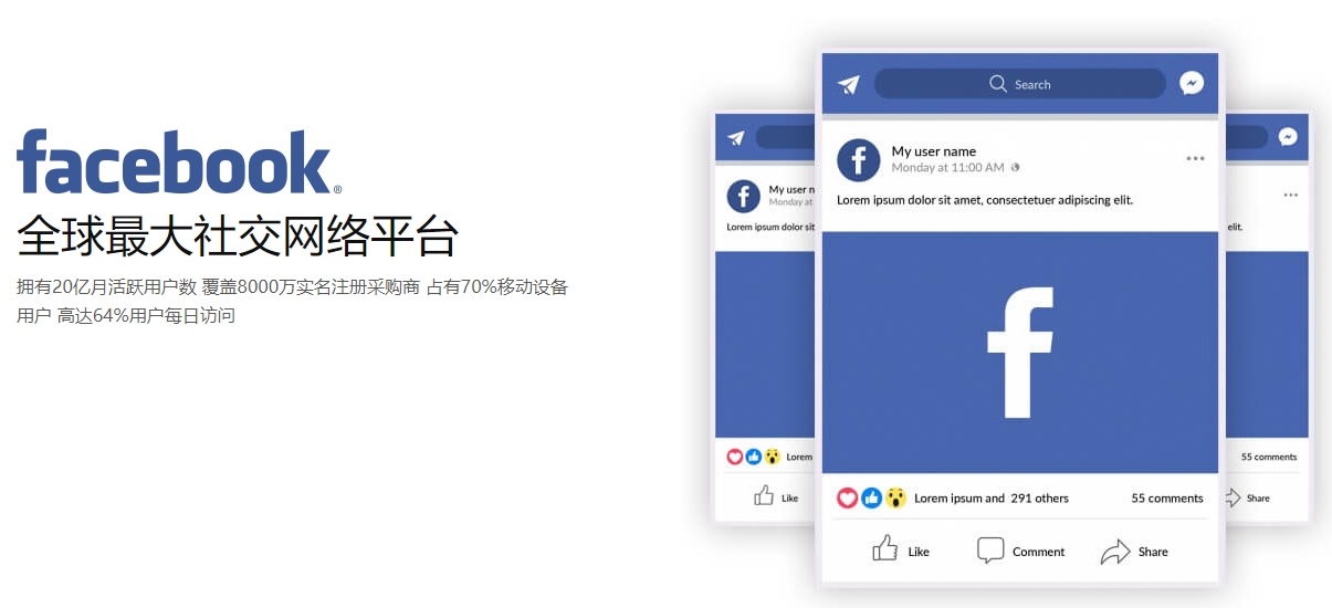 沈阳海外社交媒体营销  第1张